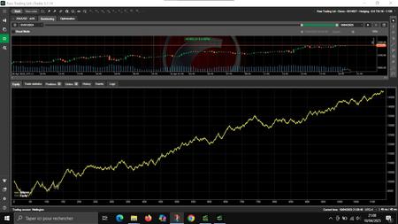 "GoldPulse FX v1.00_ALGOYAC" logo